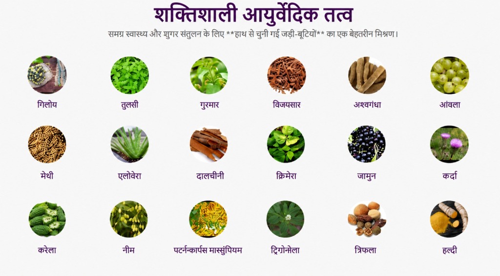 18 शक्तिशाली आयुर्वेदिक तत्व